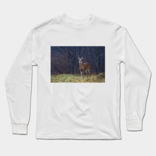 Young Buck in Snow Long Sleeve T-Shirt